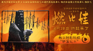 国产精品8