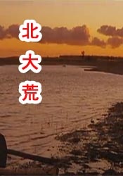 亚洲片在线观看