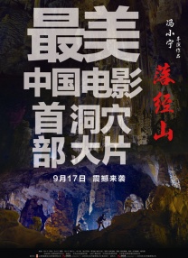 泌尿科医师