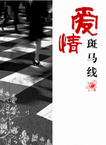 五月婷综合