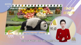 亚洲嫩草影院在线观看